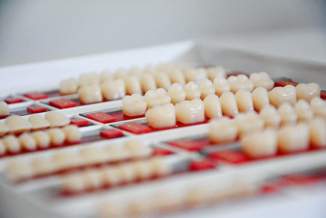 teeth set used in dental work